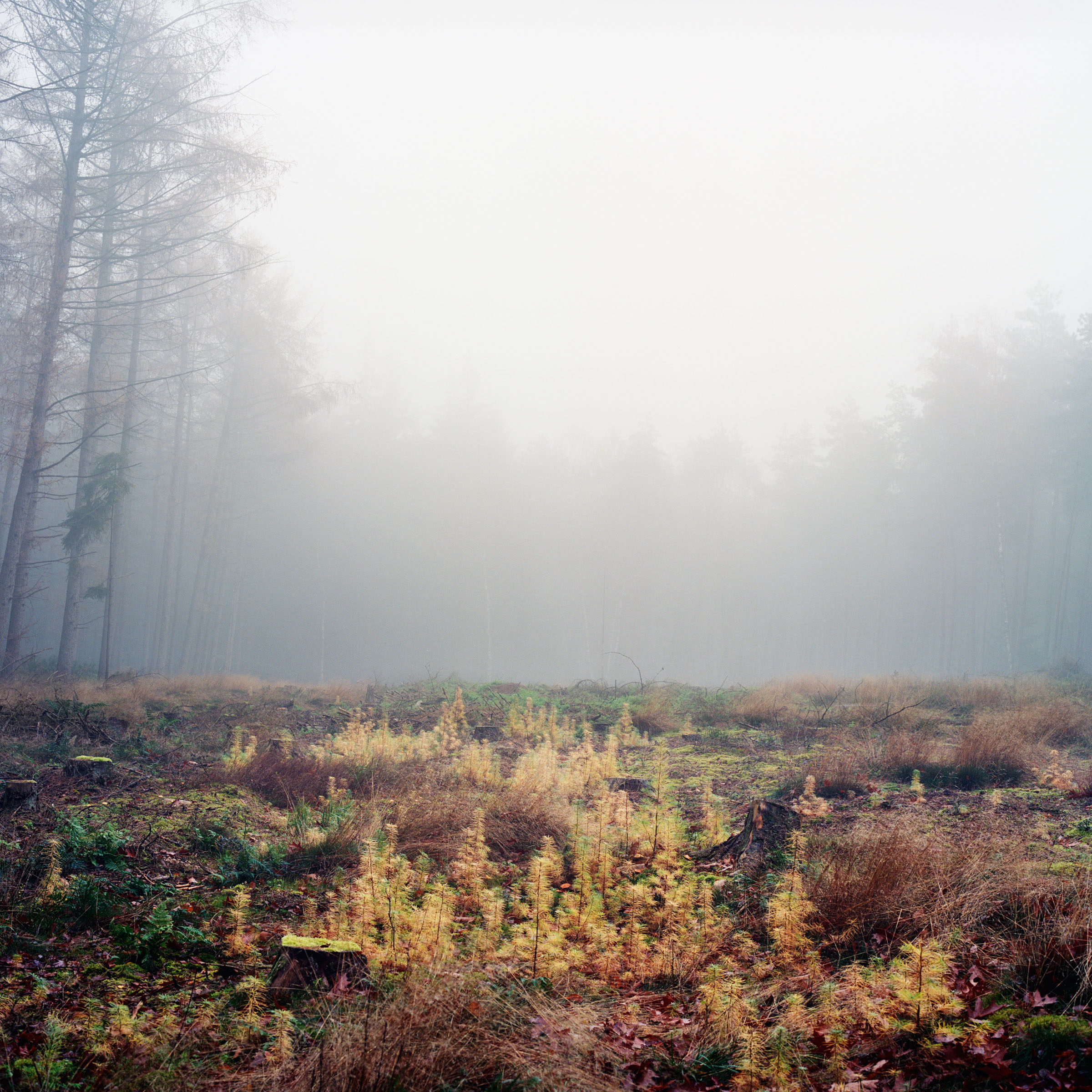 Boswachterij Leersum, Utrecht