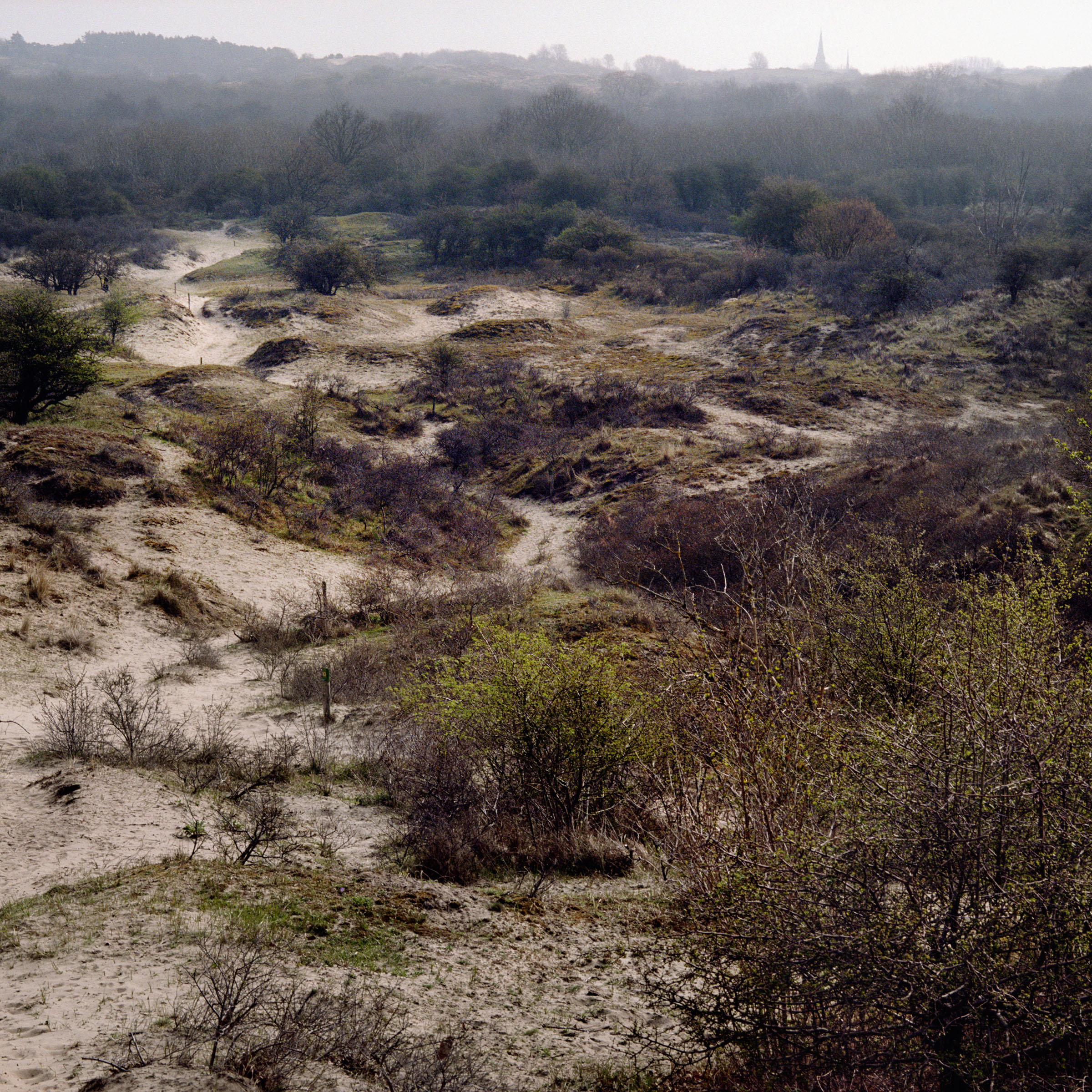 Meijendel, Zuid-Holland