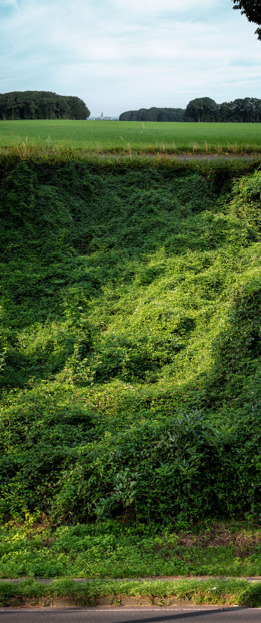 28. Moraine near Xanten Fürstenberg