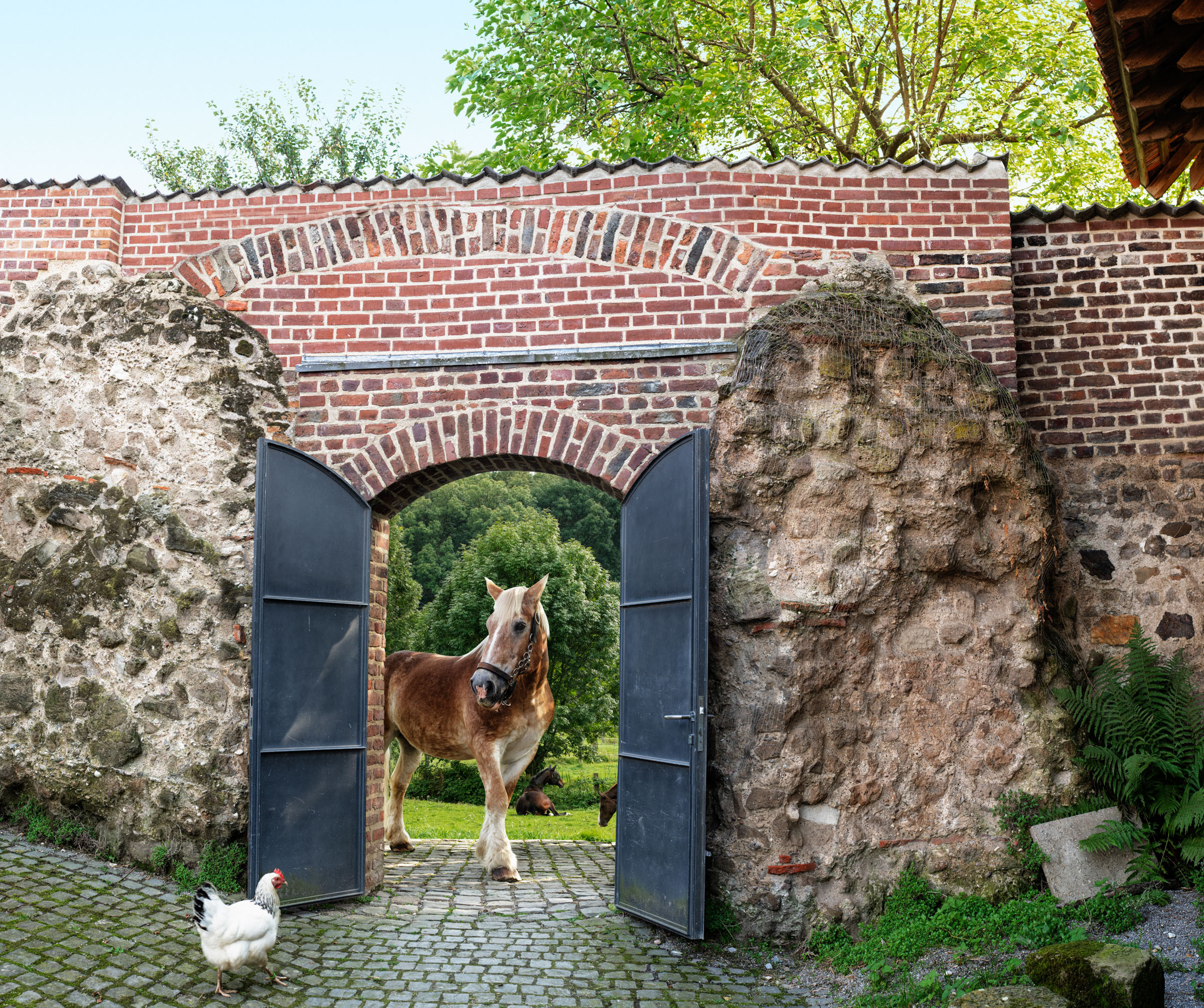 35. Roman wall at cavalary fort Haus Bürgel, Monheim