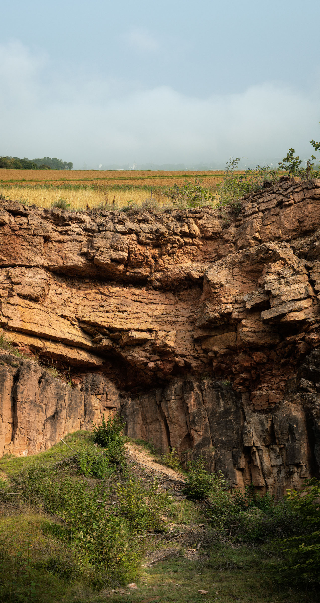 43. Limestone Quarry, Iversheim