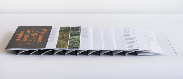 Earthly Windows Book - Image 4