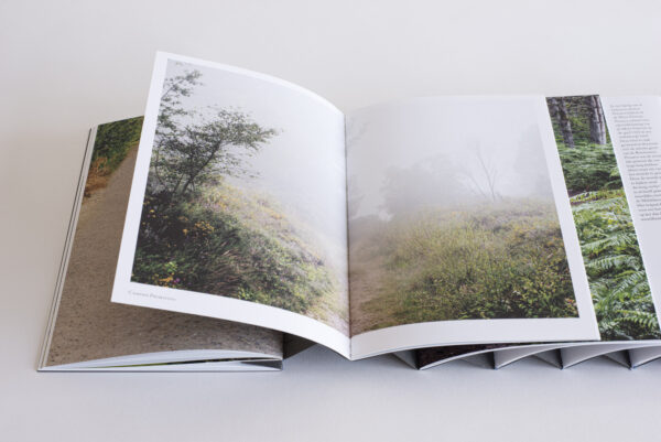 Earthly Windows Book - Image 5
