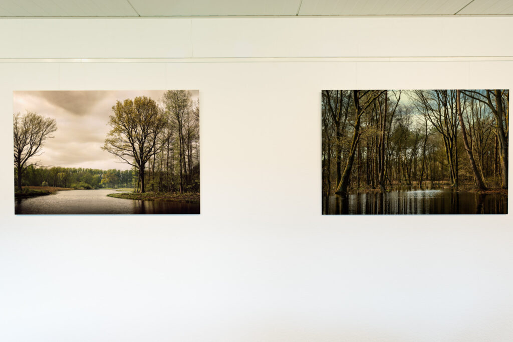 Natural Climate Buffers at Gallery Grenzblick Atelier, Suderwick, Bocholt, Germany