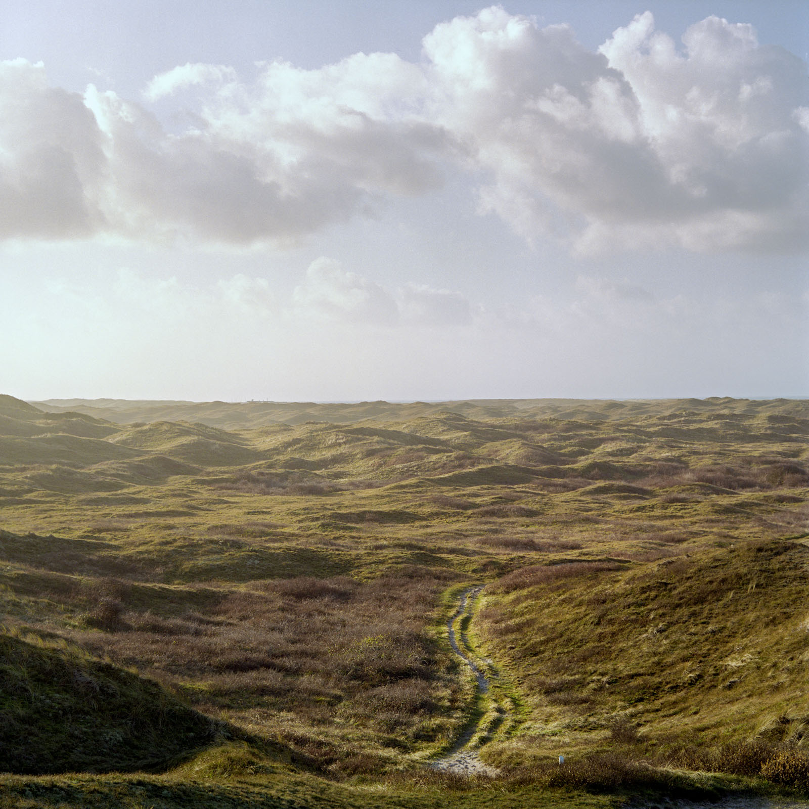 Eierlandse Duinen, Texel, Noord-Holland