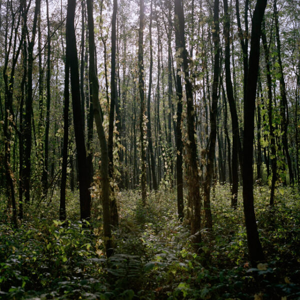Sacred Grounds - Image 6