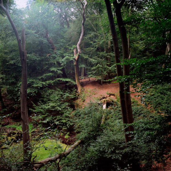 Sacred Grounds - Image 3