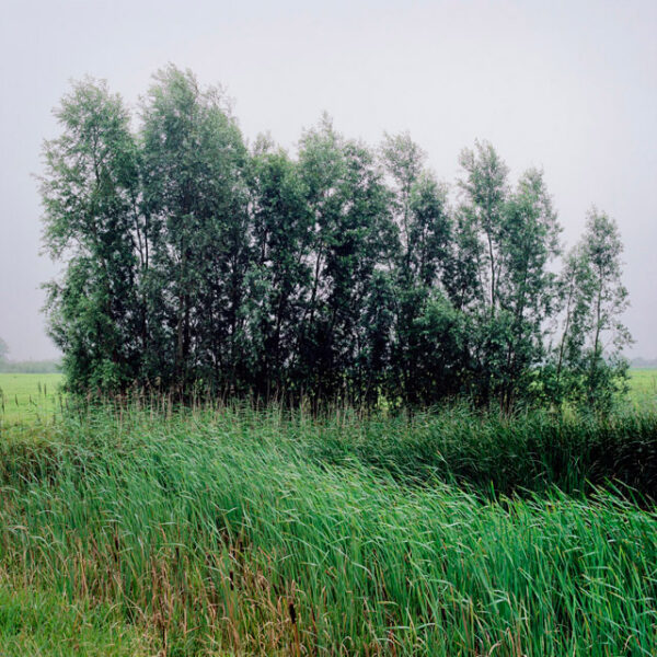 Sacred Grounds - Image 5