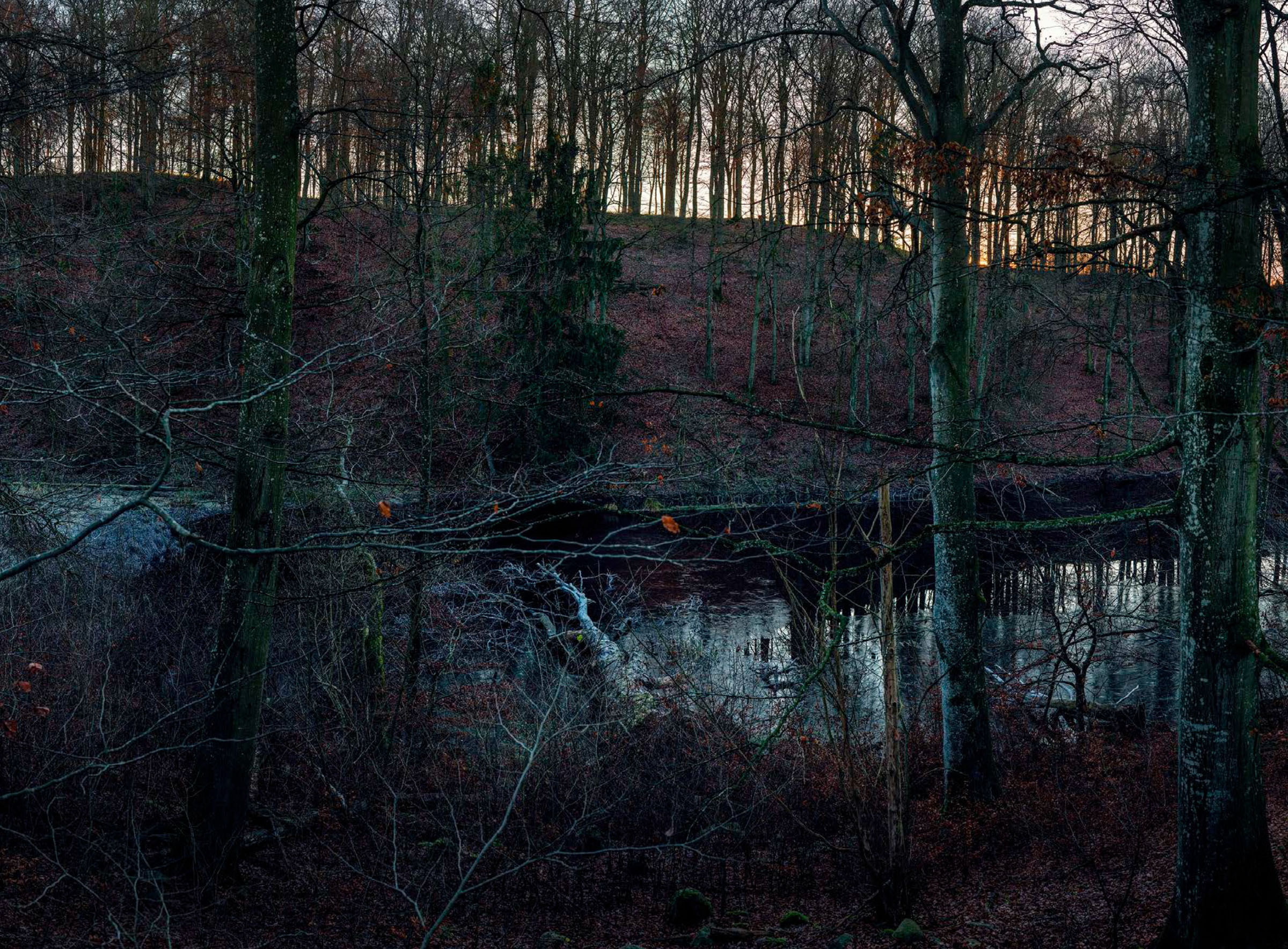 Landscape III