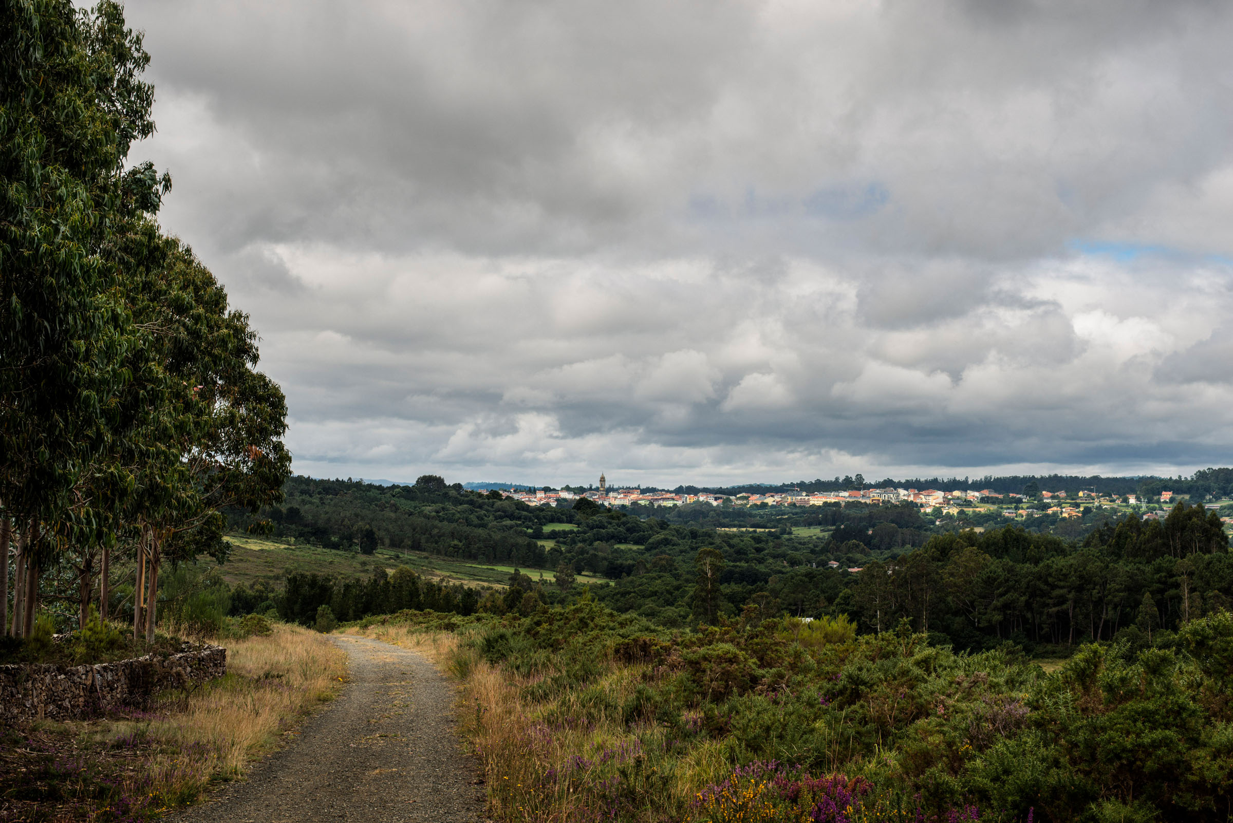 Camino Primitivo, View of Melide