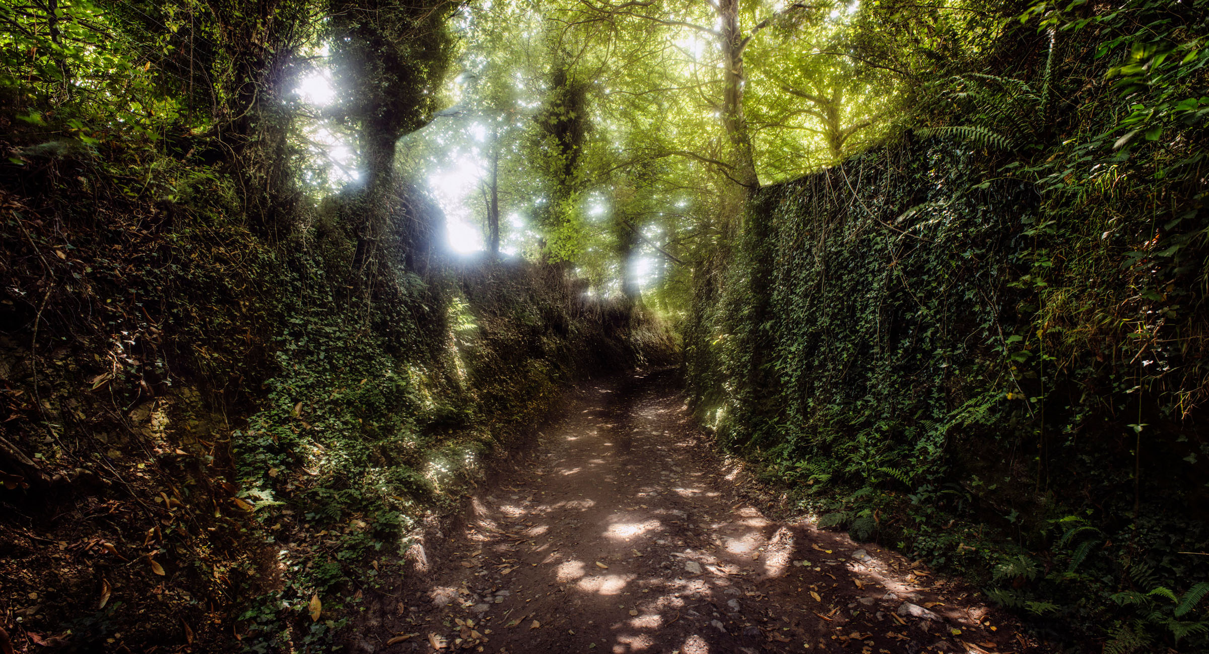 Camino Primitivo I